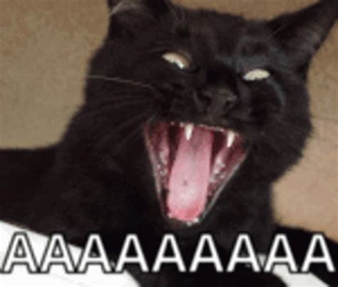 scream meme|Scream GIFs .